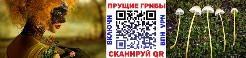 маркетплейс как зайти  магазин продажи   Харабали  Галлюциногенные грибы мицелий 